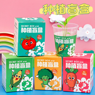 幼儿园种植盆栽盲盒 儿童植物花卉种子小礼品创意桌面摆件小盆栽