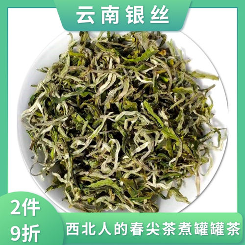 春尖茶2026新茶甘肃罐罐茶云南绿茶毛尖浓香型银丝茶叶散装500g