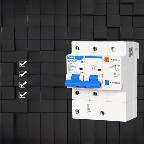 漏电保护空气开关Nxble-125家用总开关漏电保护2P大电流80A100A