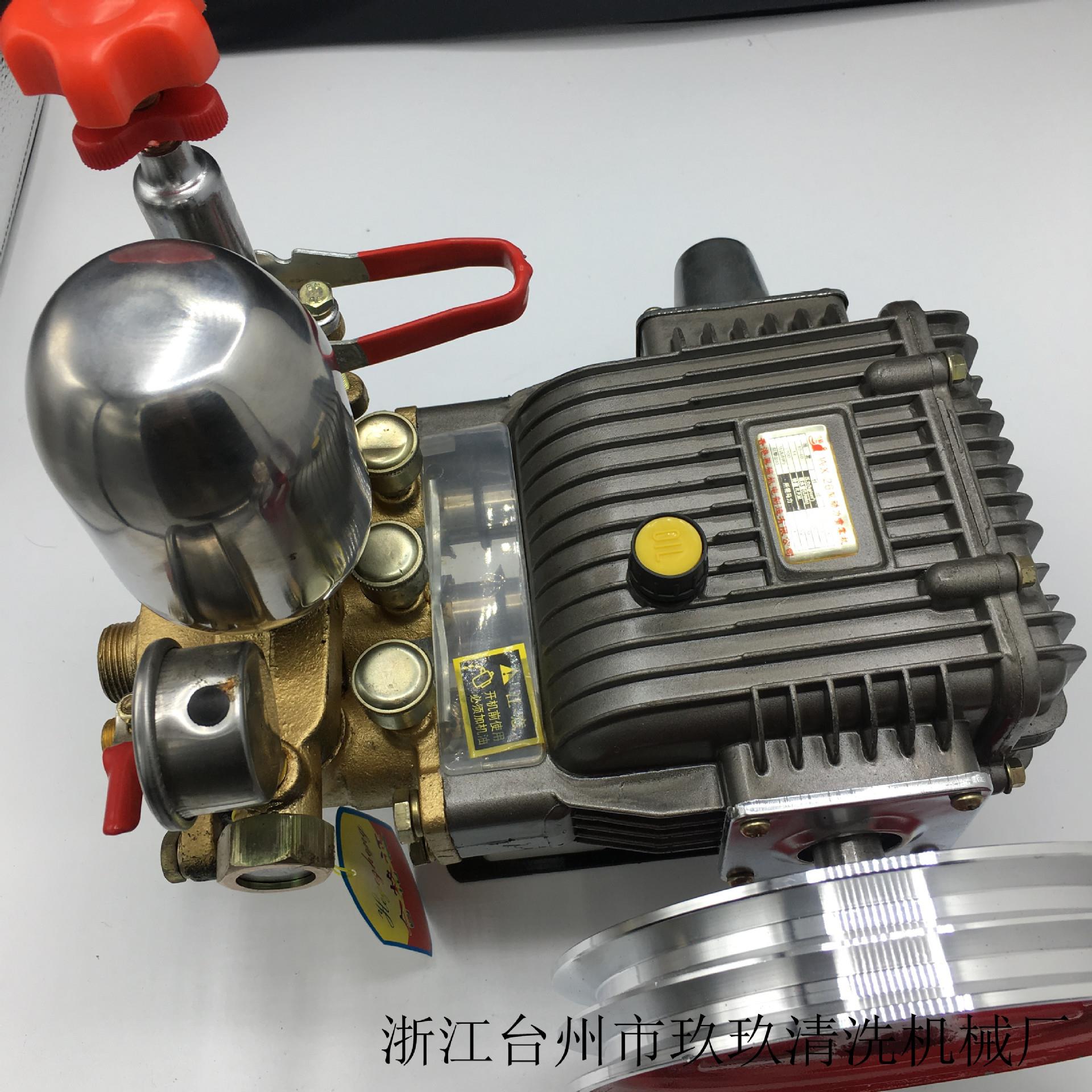 厂家直销新物理30 60型三缸柱塞泵 园林农用打药机喷雾器高压清洗