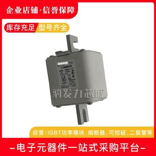 8603 8604 8608 8601 8613熔断器 8607 8602 8606 170M8600 8605