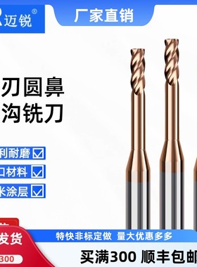 钨钢深沟圆鼻铣刀钢用长颈避空加长牛鼻刀合金铣刀D1R0.2 D2R0.5