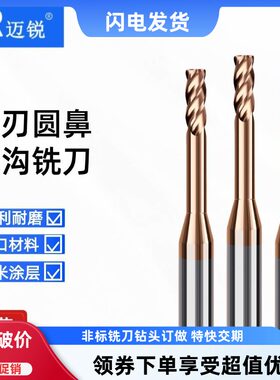 钨钢深沟圆鼻铣刀钢用长颈避空加长牛鼻刀合金铣刀D1R0.2 D2R0.5