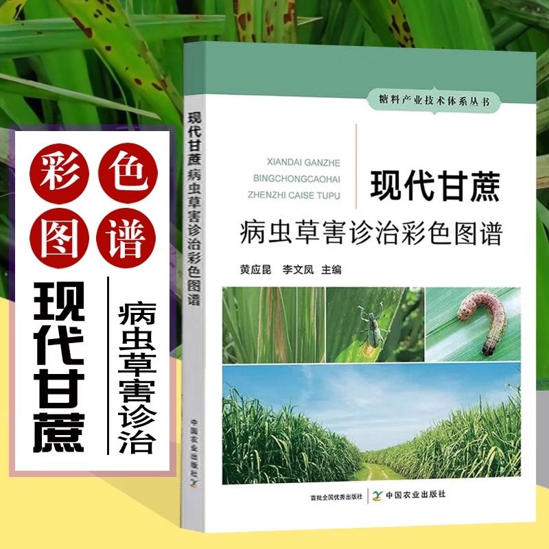 现代甘蔗病虫草害诊治彩色图谱 图解甘蔗生产中病虫害杂草症状识别防治措施甘蔗种植技术书籍水果树栽培书 糖料产业中国农业出版社