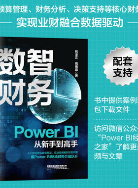 【正版包邮】数智财务--Power BI从新手到高手 PowerQuery PowerBI数据建模逻辑与DAX函数应用 数智财务核心要素数据分析商业智能