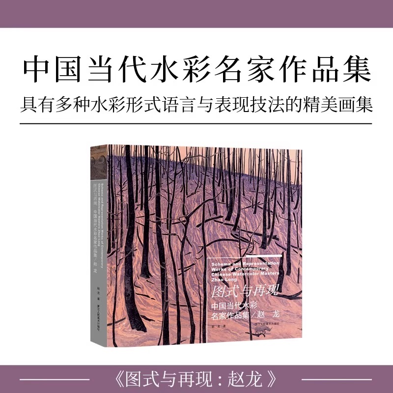 现货正版 图式与再现-赵龙 中国当代水彩名家作品集 水彩画家水彩形式语言与表现技法的精美画集 丹青画刊纸张印刷