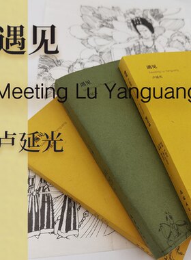 【正版包邮】遇见卢延光