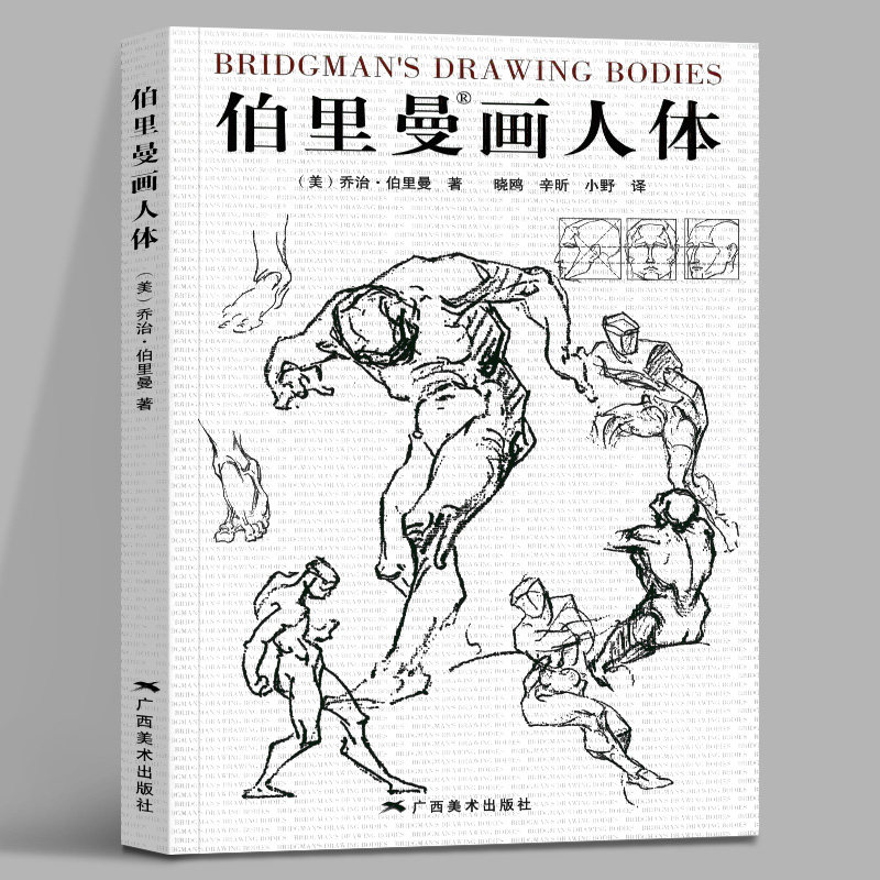 伯里曼画人体 (美)乔治·伯里曼 人体解剖 素描绘画技巧教程书籍 艺用人体解剖结构教学技法书籍书籍 广西美术出版社cm