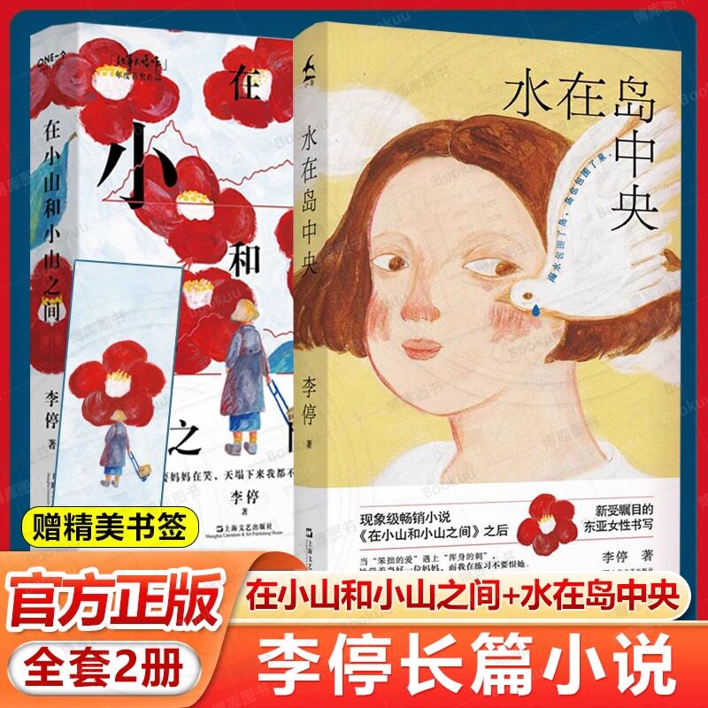全2册【赠小岛书签】水在岛中央+在小山和小山之间 现象级小说作者李停著作上海文艺出版社东亚家庭关系母女长篇小说现当代文学