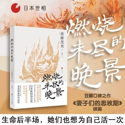 燃烧未尽的晚景 [日]斋藤茂男 日本世相系列 日本泡沫经济时代社会真实记录 日本社会问题研究 日本历史文化社会科学书籍 浙江人民