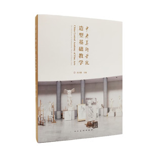 中央美术学院造型基础教学 高天雄 艺术理论 人民美术出版社 9787102094472