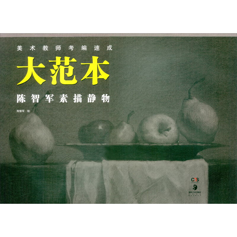 美术教师考编速成大范本 陈智军素描静物 陈智军 绘 正版包邮 绘画 湖南美术出版社 美术考试 静物照片写生