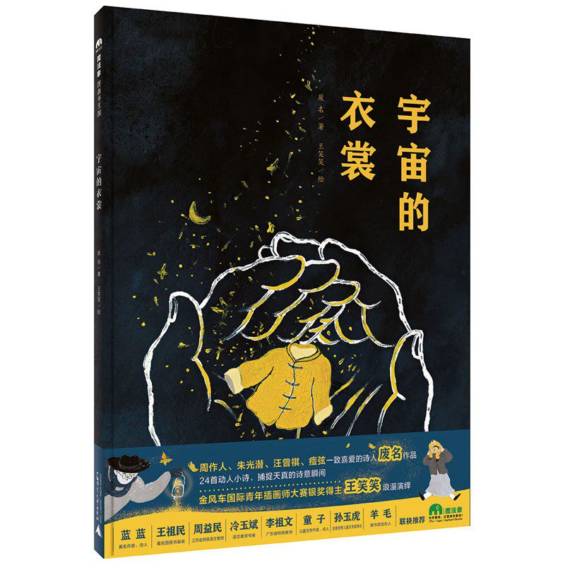 宇宙的衣裳 魔法象·图画书王国 废名 著 王笑笑 绘 启发孩子写诗的范本 诗歌书写素材 广西师范大学出版社怎么样,好用不?