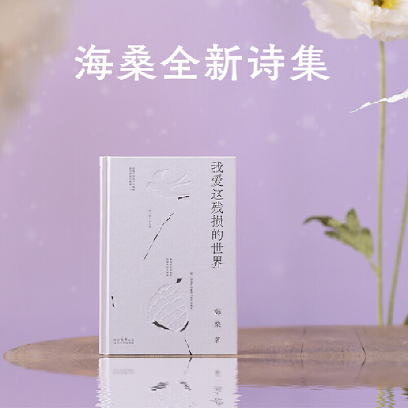 我爱这残损的世界 海桑全新诗集面世 这一次 与万物恋爱 我是你流浪过的一个地方作者以温柔放大生活的细节 现当代文学散文诗歌