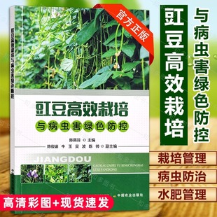 长豇豆无公害生产技术 豇豆水肥管理豇豆病虫害识别发生与防治 豆类蔬菜种植 豇豆栽培种植书籍 豇豆高效栽培与病虫害绿色防控