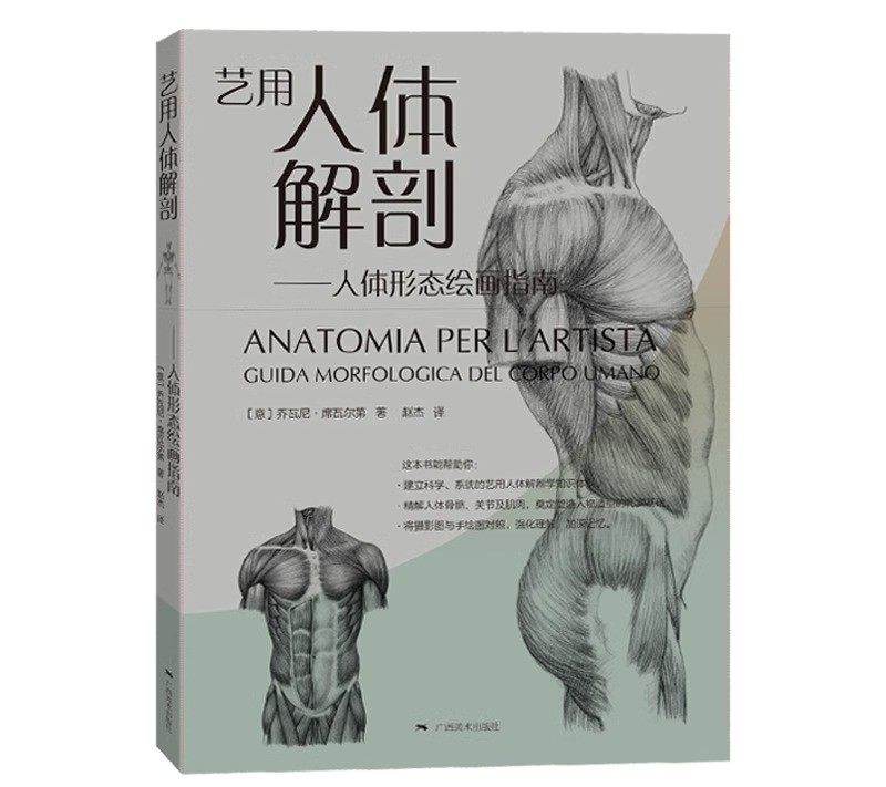 艺用人体解剖 人体形态绘画指南 乔瓦尼席瓦尔第著 艺用动态解剖人体骨骼肌肉解剖实用人体素描速写 人体结构临摹人物技法基础教程