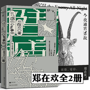 驻马店伤心故事集 今夜通宵杀敌 全2册 郑在欢 短篇小说集 驻马店女孩 暴力欢腾欲望青春悲的喜的幽默文学 上海文艺出版社