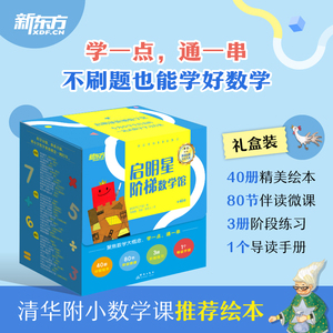 启明星阶梯数学馆 全40册 礼盒装 小学数学基础思维绘本 有趣的代数2 6-10岁 小学数学专项练习 附赠微课 新东方童书