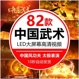 中国风水墨武术功夫表演太极南拳北腿少林 LED大屏幕背景视频素材