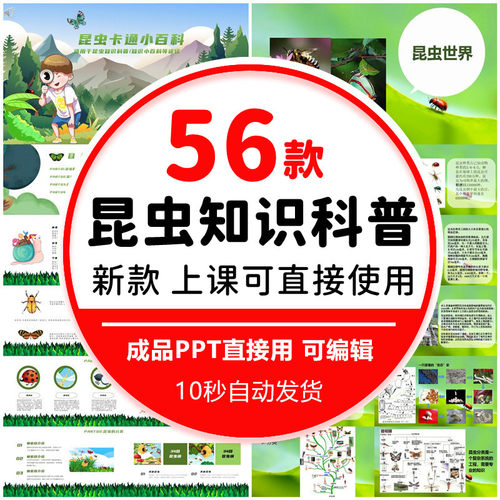 小学生认识昆虫知识科普PPT幼儿园家长进课堂知识科普PPT参考资料