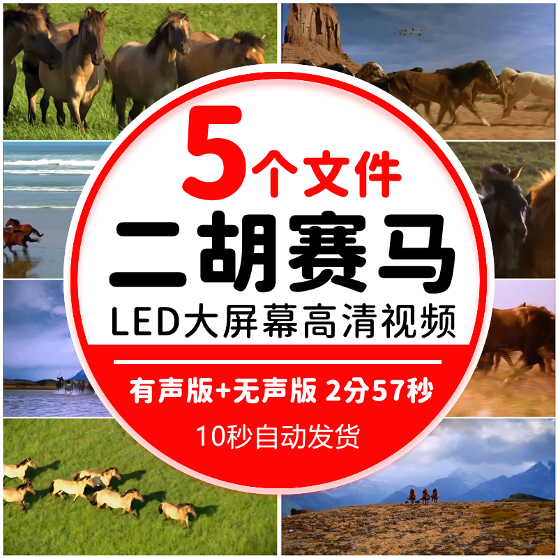 二胡独奏演奏水墨万马奔腾 赛马舞台表演led大屏幕背景 视频素材