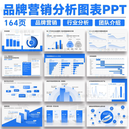 高级感企业品牌营销行业数据分析工作总结可视化信息图表ppt模板