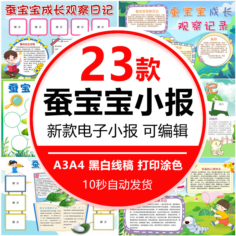 小学生蚕的一生手抄报电子版4K8K蚕宝宝成长观察日记小报模板A3A4