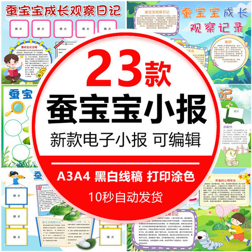 小学生蚕的一生手抄报电子版4K8K蚕宝宝成长观察日记小报模板A3A4