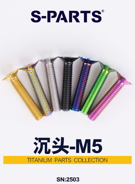 S-PARTS 沉头M5*8/20mm钛合金螺丝公路车座管夹 平头金彩钛黑斯坦