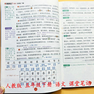 2026新语文课堂笔记视频讲解五年级下册人教版 数学英语翻译教材讲解读课本提前学识生字组词语表解释案例解析分析教师备案教辅荣恒