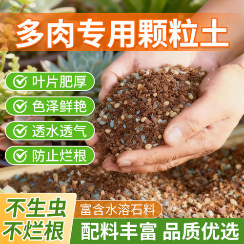 多肉专用颗粒土营养土泥炭土纯颗粒多肉土透气疏松土壤种植土花土