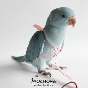 鹦鹉放飞绳背带式外出溜鸟训练绳超轻八哥飞飞行行服绳牵引绳