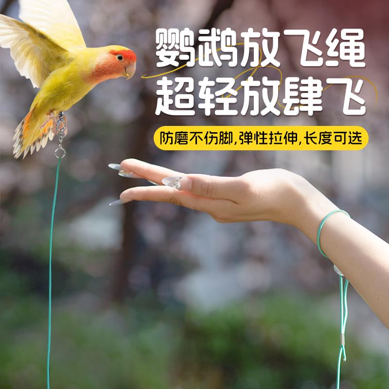 【旗舰店正品】鹦鹉放飞绳超轻虎皮牡丹外出放飞牵引绳小鸟户外脚