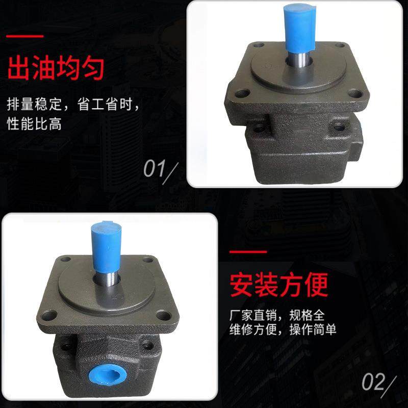 YB-D2.5液压4油泵6.3叶片泵10 12 16 20 25 32YBD40 50 63 80 100