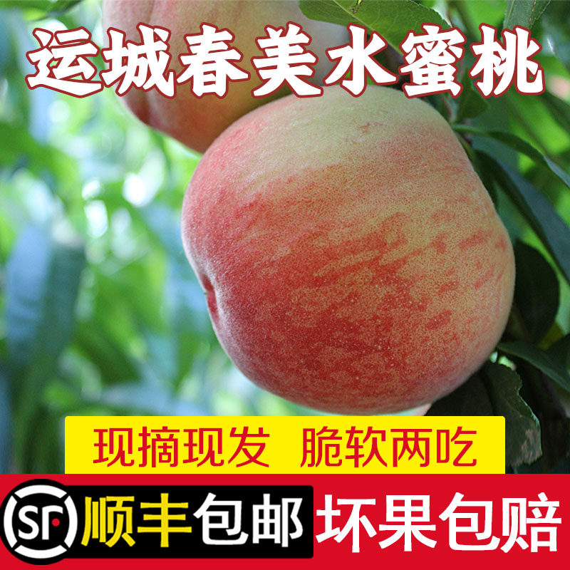 山西运城新鲜水果水蜜桃顺丰包邮