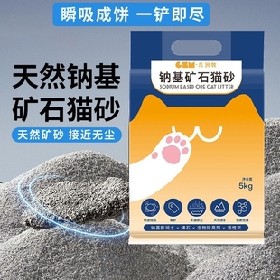 天然钠基矿石猫砂除臭吸水不占底快速结团活性矿砂膨润土猫砂10斤