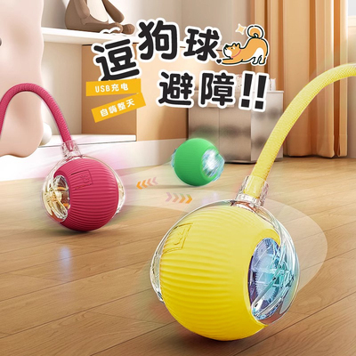 猫咪狗狗玩具自动遛狗球电动智能避障永不停歇逗狗神器陪玩一整天