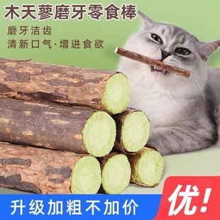 猫咪磨牙棒新鲜木天蓼棒磨牙洁齿自嗨解闷猫草薄荷幼猫逗猫棒玩具