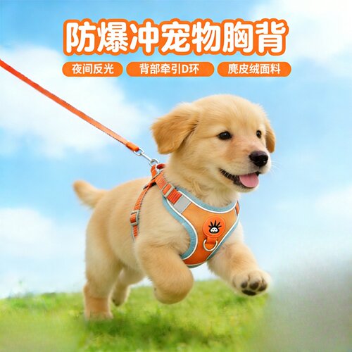 中小型犬背心式胸背牵引绳