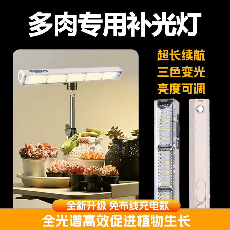 【一万+人种草】多肉专用补光灯