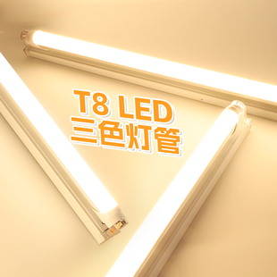 三色灯管变色变光ledT8家用暖色可调色暖光超亮日光灯条长条光管