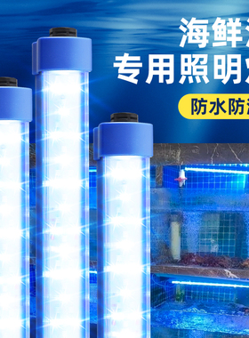 鱼缸led灯防水灯24v低压海鲜池专用灯12v36v超亮水族箱照明灯管