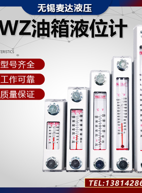 液位计油位计水位计YWZ-80T100T125T127T150T200T 250T 300T 400T