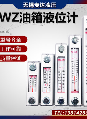 液位计油位水位YWZ-80T/100T150T