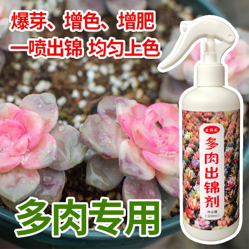 金枝玉叶出锦药专用增红变色剂