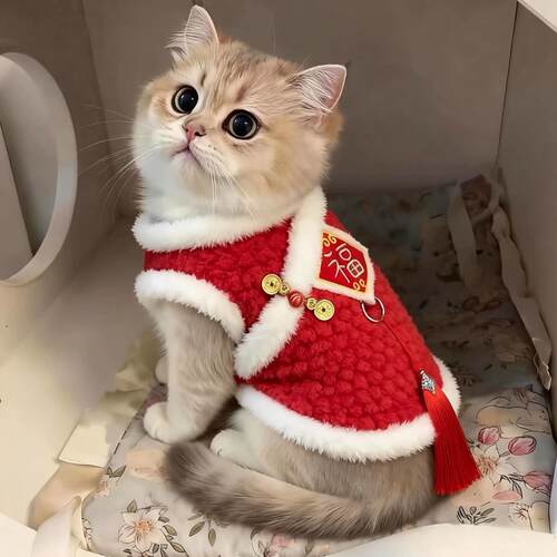 小猫咪衣服冬天新年刺绣福字背心英短布偶金渐层防掉毛加绒保暖衣