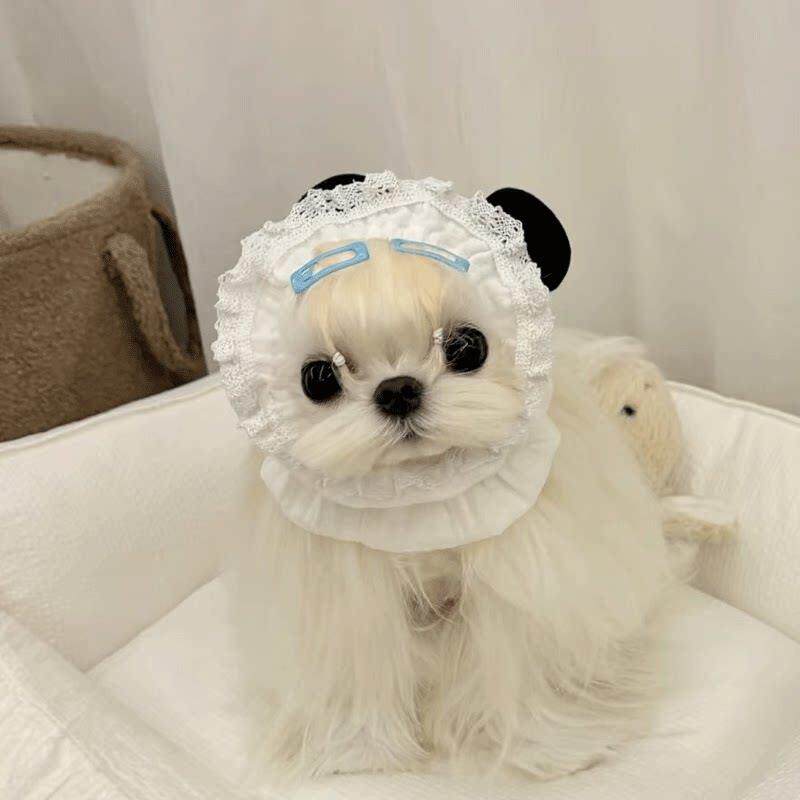 宠物小狗狗吃饭头套马尔济斯约克夏西施犬帽子可爱发箍头饰配饰品