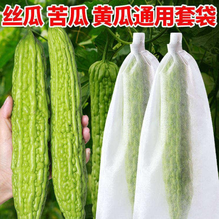 苦瓜套袋瓜果防虫袋防鸟针蜂果蝇网袋包黄瓜丝瓜青瓜果套袋保护套
