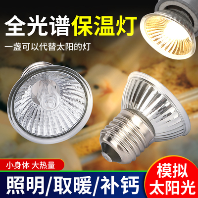 速发小鸡育雏热温灯加保灯加温太灯芦丁鸡灯鸡用取暖灯乌龟保暖灯