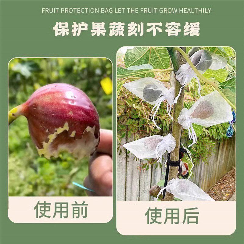 速发安楠百货水果葡萄套袋防虫鸟白色纱网袋子透气防果蝇套果蔬育